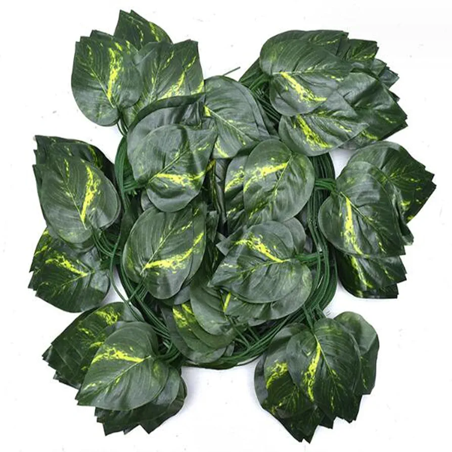 ریسه برگ خطی پتوس بسته 12 عددی